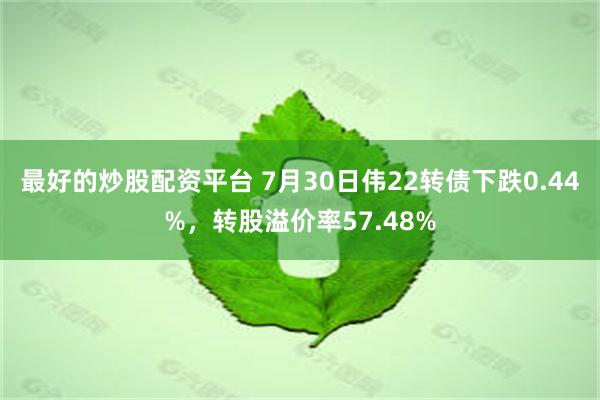 最好的炒股配资平台 7月30日伟22转债下跌0.44%，转股溢价率57.48%