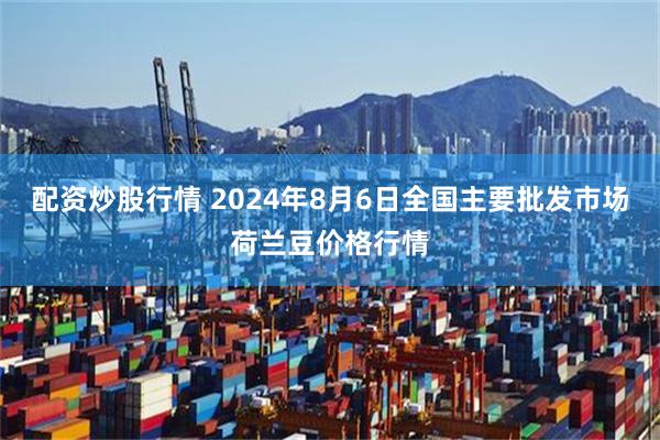 配资炒股行情 2024年8月6日全国主要批发市场荷兰豆价格行情