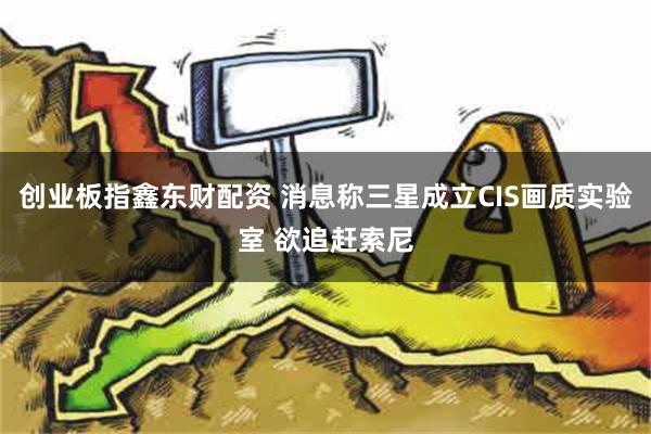 创业板指鑫东财配资 消息称三星成立CIS画质实验室 欲追赶索尼