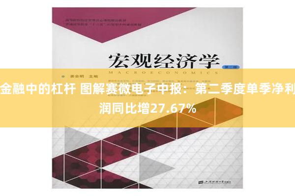 金融中的杠杆 图解赛微电子中报：第二季度单季净利润同比增27.67%