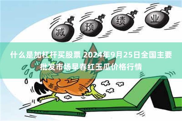 什么是加杠杆买股票 2024年9月25日全国主要批发市场早春红玉瓜价格行情