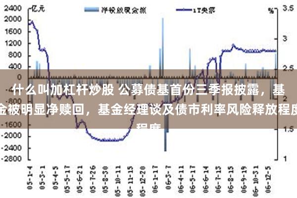 什么叫加杠杆炒股 公募债基首份三季报披露，基金被明显净赎回，基金经理谈及债市利率风险释放程度