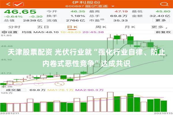 天津股票配资 光伏行业就“强化行业自律、防止内卷式恶性竞争”达成共识