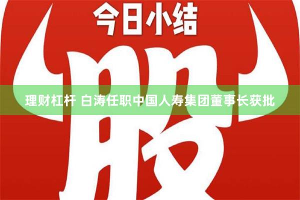 理财杠杆 白涛任职中国人寿集团董事长获批