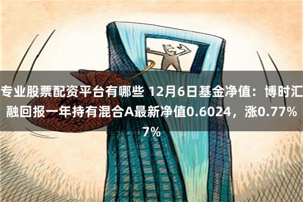 专业股票配资平台有哪些 12月6日基金净值：博时汇融回报一年持有混合A最新净值0.6024，涨0.77%