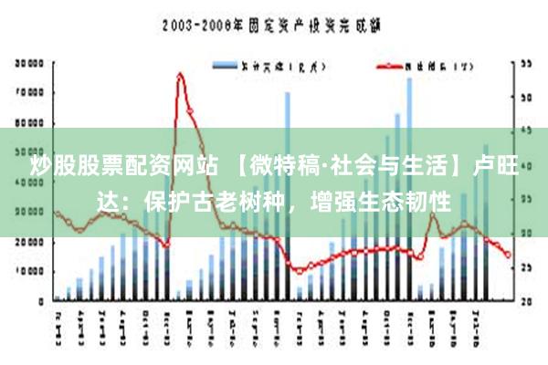 炒股股票配资网站 【微特稿·社会与生活】卢旺达：保护古老树种，增强生态韧性